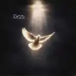 دانلود آهنگ پیشت نیستم از ویناک